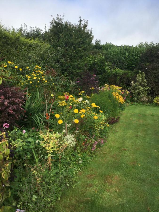 Corndonford Farm Bed & Breakfast Newton Abbot Exterior photo