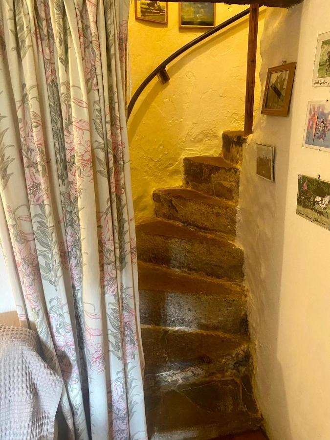 Corndonford Farm Bed & Breakfast Newton Abbot Exterior photo