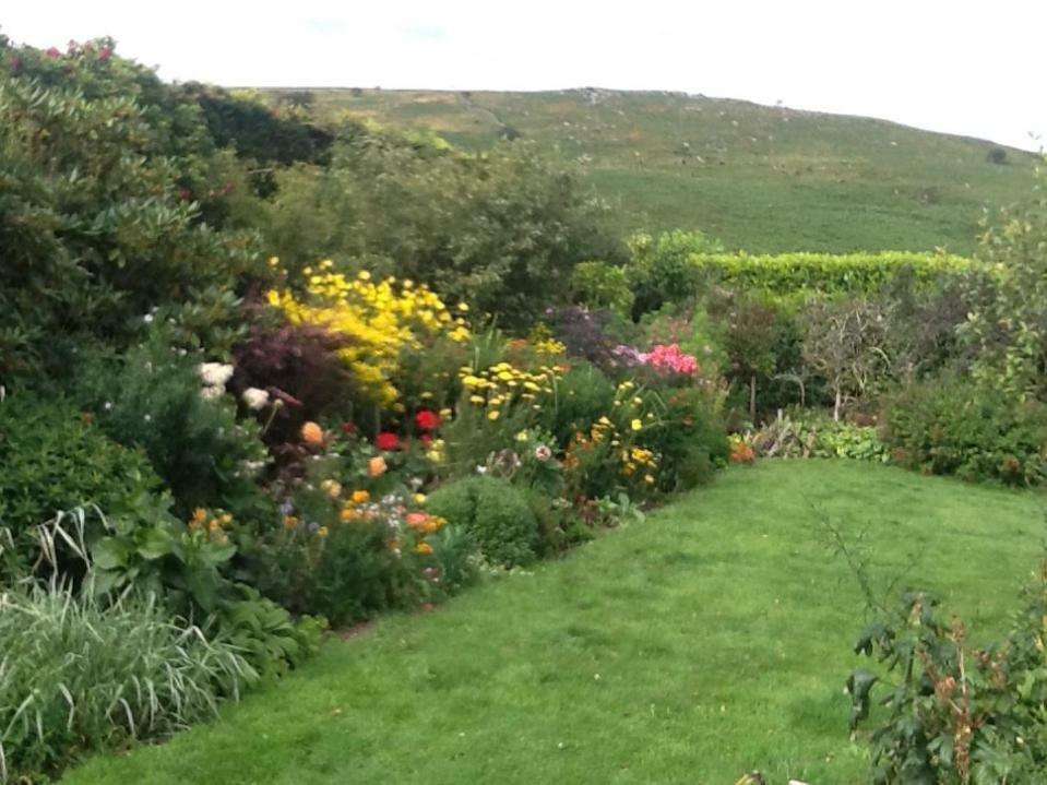 Corndonford Farm Bed & Breakfast Newton Abbot Exterior photo